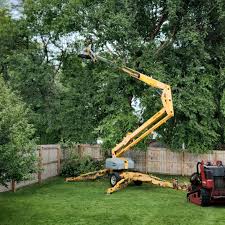 Best Tree Removal  in Cave City, AR